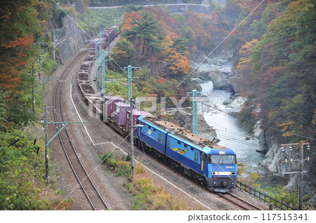 Joetsu Line Kamimaki-Minakami JR Freight EH200-3 (Takasaki) 117515341