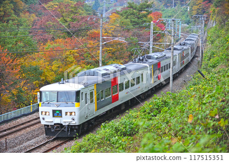 上越線水上神卷 JR東日本 185系 OM06編組(大宮)水上 上越線水上神卷 JR東日本 185系 OM06編組(大宮)水上 117515351
