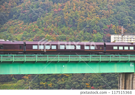 中央幹線鳥澤猿橋 JR 東日本 E655 系列（奧庫）+ TR（東京）Nagomi 日本青梅列車試運行 117515368
