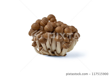 Brown shemegi, on a white background, raw, isolate, Brown shemegi, on a white background, raw, isolate, 117515900
