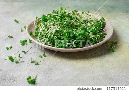 fresh micro-greenery, on a plate, top view, no people, fresh micro-greenery, on a plate, top view, no people, 117515921