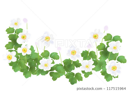 秋菊花卡3 117515964