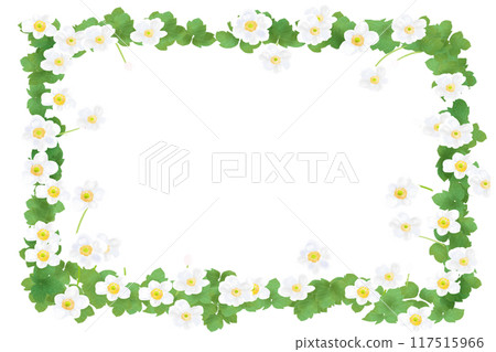 Autumn chrysanthemum flower card 5 117515966