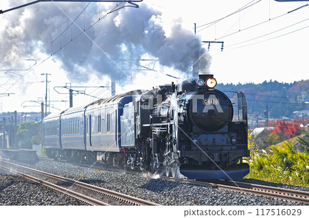 東北本線 前澤~陸中折原 JR東日本 C61-20(高崎)+24系(青森)試運行 東北本線 前澤~陸中折原 JR東日本 C61-20(高崎)+24系(青森)試運行 117516029