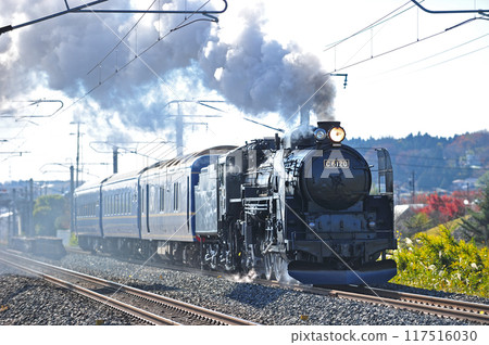 東北本線 前澤~陸中折原 JR東日本 C61-20(高崎)+24系(青森)試運行 東北本線 前澤~陸中折原 JR東日本 C61-20(高崎)+24系(青森)試運行 117516030