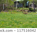 From the North Country: Goro's House 117516042