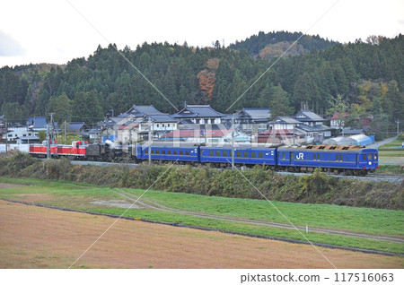 Tohoku Main Line Hiraizumi-Yamanome JR East DE10-1765 + DE10-1761 + C61-20 + 24 series 117516063