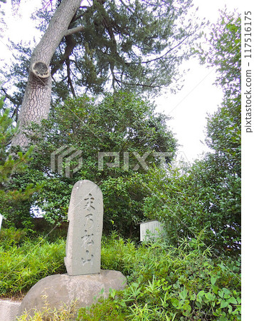 松山最後 117516175