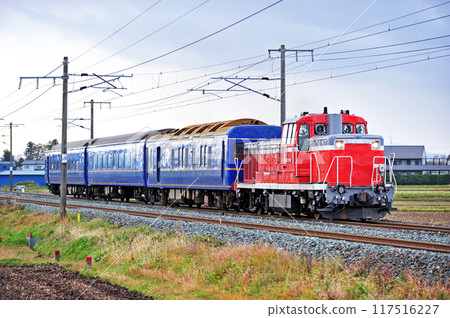 東北幹線水澤金崎 JR東日本 DE10-1762+24系列（青森縣） 117516227