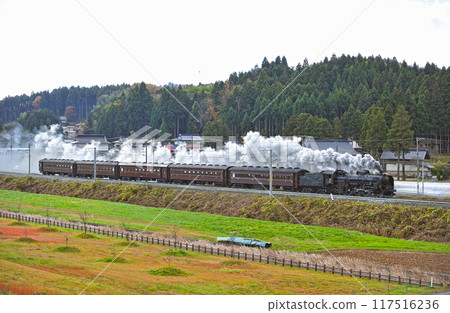 Tohoku Main Line Hiraizumi-Yamanome JR East C61-20 + old passenger car (Takasaki) 117516236