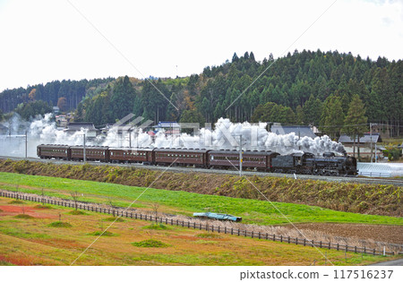 東北本線 平泉山目 JR東日本 C61-20+老旅客（高崎） 117516237