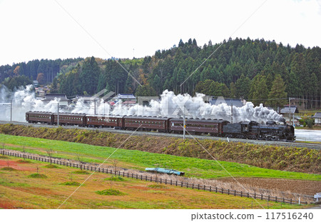 Tohoku Main Line Hiraizumi-Yamanome JR East C61-20 + old passenger car (Takasaki) 117516240