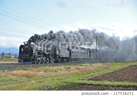 東北幹線水澤金崎 JR東日本 C61-20+老旅客（高崎） 117516251
