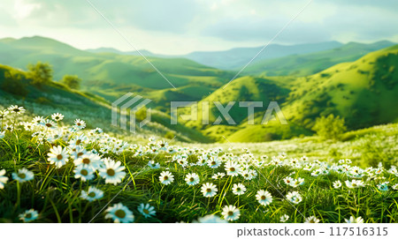 A vibrant meadow filled with vibrant wildflowers, set against backdrop of rolling green hills and distant mountains under clear blue sky. Natural background, copy space, banner A vibrant meadow filled with vibrant wildflowers, set against backdrop of rolling green hills and distant mountains under clear blue sky. Natural background, copy space, banner 117516315
