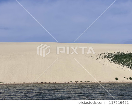 Dune at Nida town near Klaipeda in Neringa in the Curonian Spit and the Baltic Sea in Lithuania. 117516451