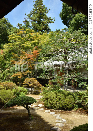 大本山瑞心院 小町戶 117516549