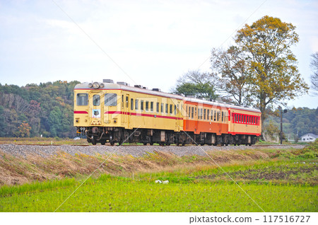 Hitachinaka Seaside Railway Nakane-Kanagami Kiha 2004 + Kiha 205 + Kiha 2005 Hitachinaka Seaside Railway Nakane-Kanagami Kiha 2004 + Kiha 205 + Kiha 2005 117516727