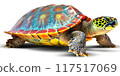 Multicolored Turtle On A White Background 117517069