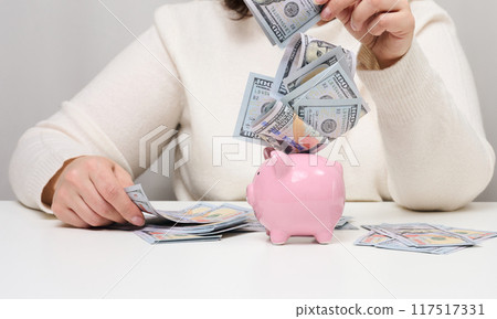 Pink ceramic piggy bank and woman with American paper money. Wealth concept, bargain, accumulation. High profitable margin 117517331