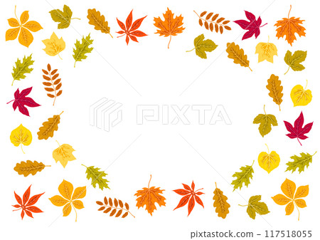 Frame with autumn leaves. Background with various foliage. Frame with autumn leaves. Background with various foliage. 117518055