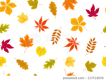 Pattern with autumn leaves. Background with various foliage. 117518059
