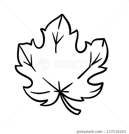 Maple leaf illustration. Autumn natural tree foliage. Maple leaf illustration. Autumn natural tree foliage. 117518103