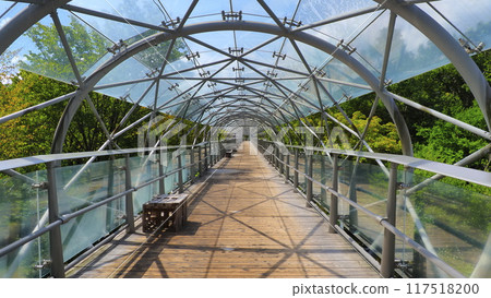 鳥取花迴路 8（8 月） 117518200