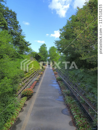 鳥取花迴路 26(8 月) 鳥取花迴路 26(8 月) 117518255