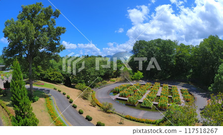 Tottori Flower Corridor 38 (August) Tottori Flower Corridor 38 (August) 117518267