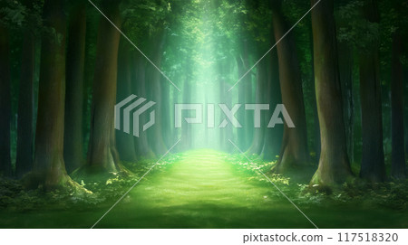 Sunlit forest path surrounded by tall trees and lush greenery, copy space Sunlit forest path surrounded by tall trees and lush greenery, copy space 117518320