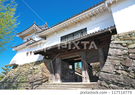 [和歌山城] 和歌山縣和歌山市 117518779