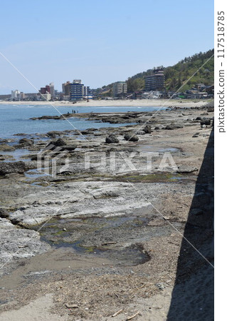 山形縣莊內湯之濱海岸 117518785
