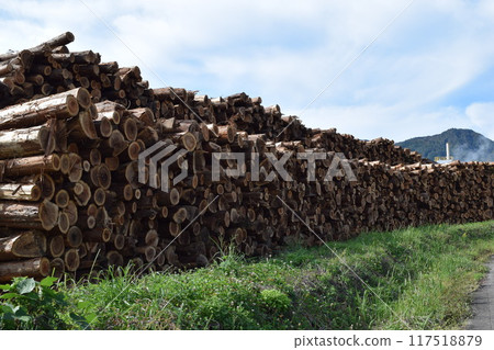 A large number of stacked logs A large number of stacked logs 117518879