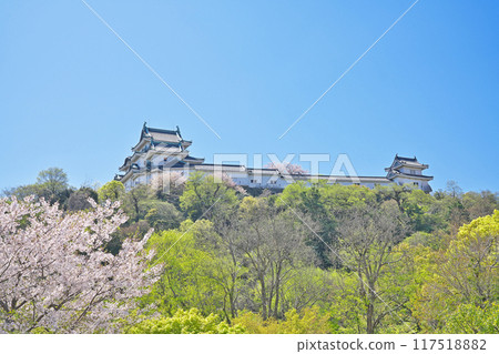 [和歌山城] 和歌山縣和歌山市 117518882