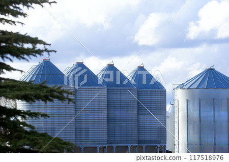 Row of steel grain bins are seen behind the spruce tree and the blue cloudy sky in the background. 117518976