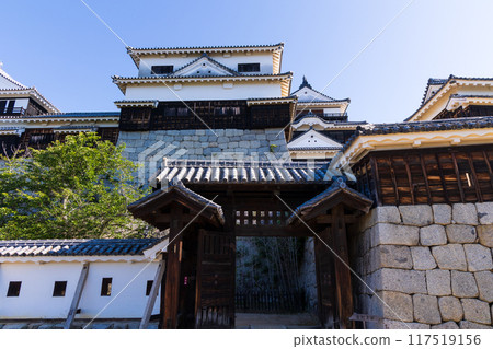 Matsuyama City, Ehime Prefecture, Japan's 100 Great Castles, Matsuyama Castle, Multi-Tower Castle 117519156