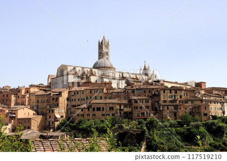 錫耶納小鎮風光，大教堂，世界遺產，義大利，歐洲 117519210