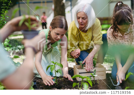 Portrait of students and female teacher at outdoor sustainable education class. Planting vegetable seedling, herbs in soil. Concept of experiential learning and ecoliteracy. 117519356