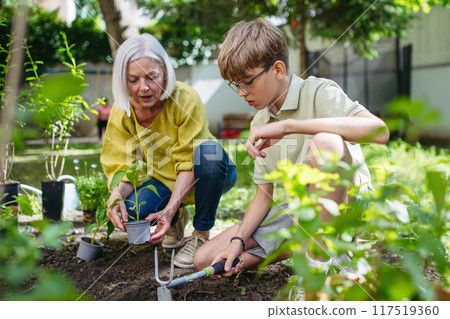 Teacher and young schoolboy during outdoor sustainable education, lesson in forest school. Planting vegetable seedling in soil. Concept of experiential learning and ecoliteracy. 117519360