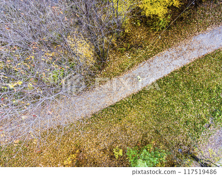 Aerial view of a runner running through autumn park on jogging path with fallen leaves. Morning running training. Aerial view of a runner running through autumn park on jogging path with fallen leaves. Morning running training. 117519486