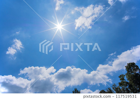 【盛夏/酷暑影像】烈日炎炎 【盛夏/酷暑影像】烈日炎炎 117519531