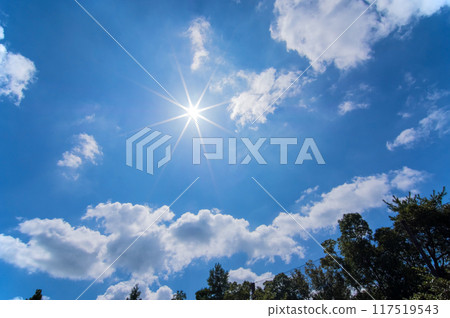 【盛夏/酷暑影像】烈日炎炎 【盛夏/酷暑影像】烈日炎炎 117519543