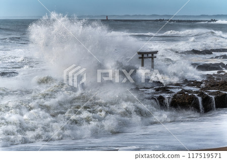 Oarai Isosaki Shrine: The raging torii gate of Kamiiso 117519571