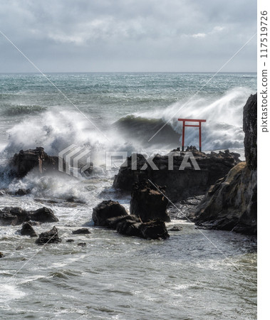 粗浪海岸弁天島 117519726