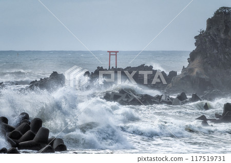 Rough waves on Benten Island 117519731