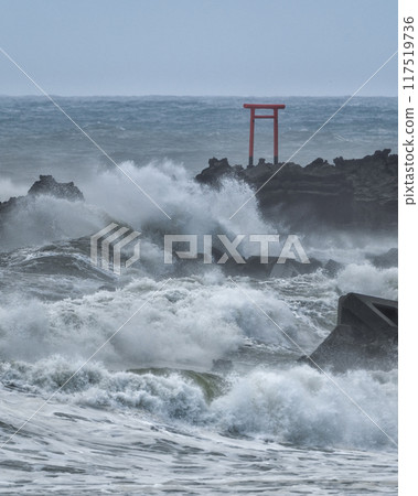 Rough waves on Benten Island 117519736