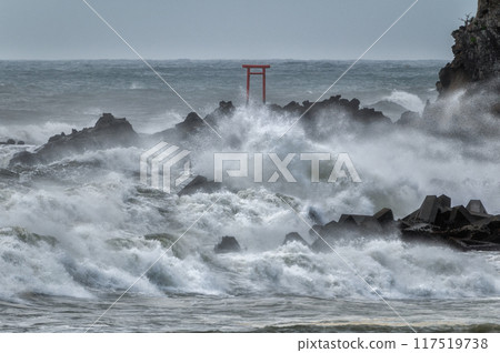 粗浪海岸弁天島 117519738