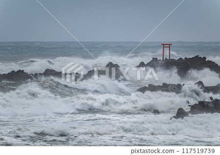 粗浪海岸弁天島 117519739
