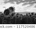 夏天結束 117520486