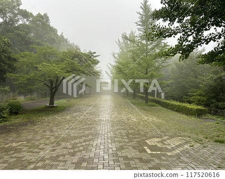 A park with a beautiful light trail A park with a beautiful light trail 117520616